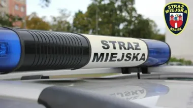 Wycelował w strażników przedmiotem przypominającym broń. Zatrzymany w Kaliszu